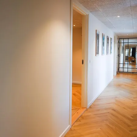 Penthouse Apartment